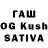 Псилоцибиновые грибы Magic Shrooms andrew.easyman
