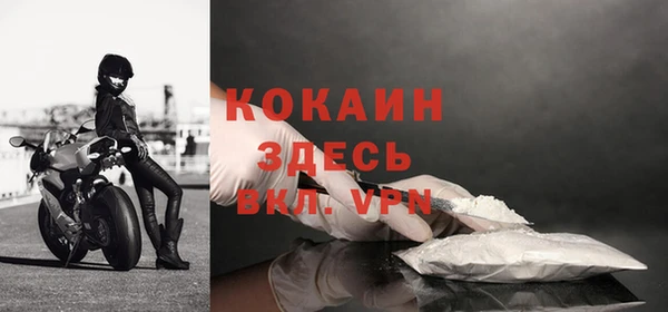 кокс Осташков