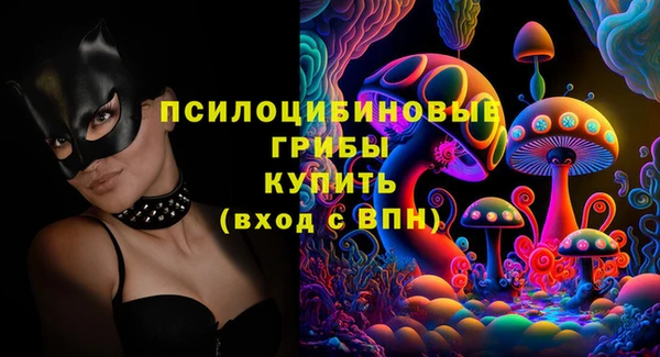 прущие грибы Алексин