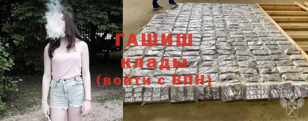 шишки Осинники